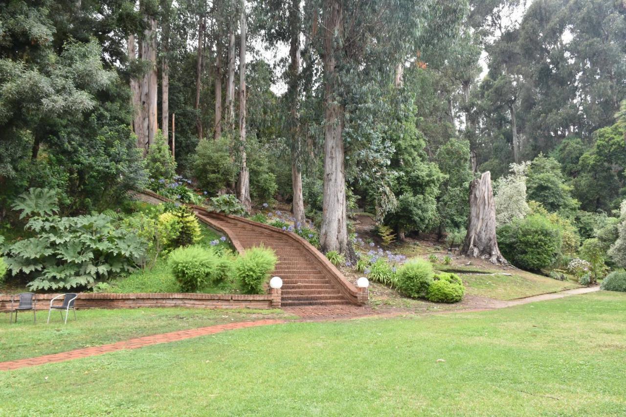 Hotel Bosque De Renaca Vina del Mar Ngoại thất bức ảnh