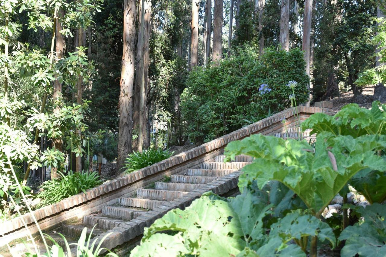 Hotel Bosque De Renaca Vina del Mar Ngoại thất bức ảnh